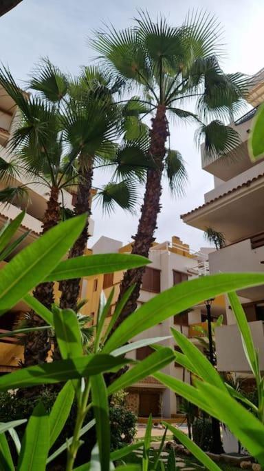 Olivia Sunny 2 Bedroom Apartament Punta Prima ตอร์เรเวียคา ภายนอก รูปภาพ